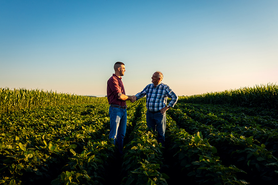 Agri-Photovoltaik Agri-PV Handschlag Bauer und Mitarbeiter