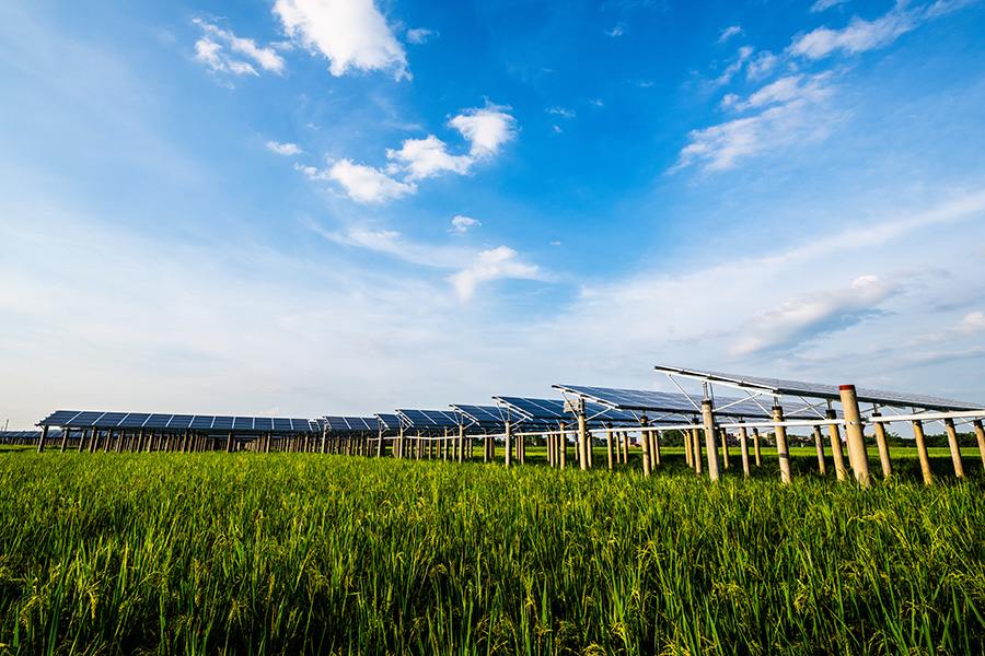 Agri-Photovoltaik Landwirtschaft Solarpark